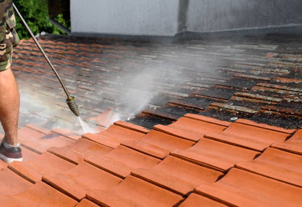 Best Pressure Washing Siding  in Perry, UT